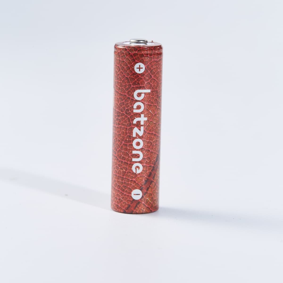 Batzone AAA 800mAh Ni-MH 2.0 Rechargeable Batteries (4-Pack), view 4