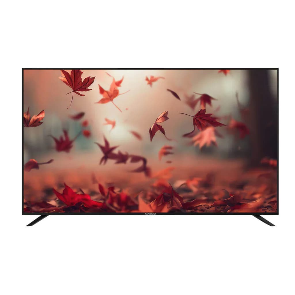 NASCO NAS-B32FBFL 32" LED FLAT TV, view 2