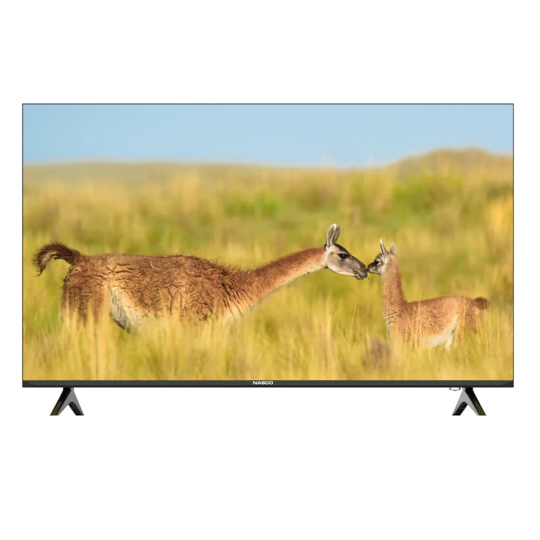 NASCO NAS-B40FBFL 40" LED FLAT TV, view 2