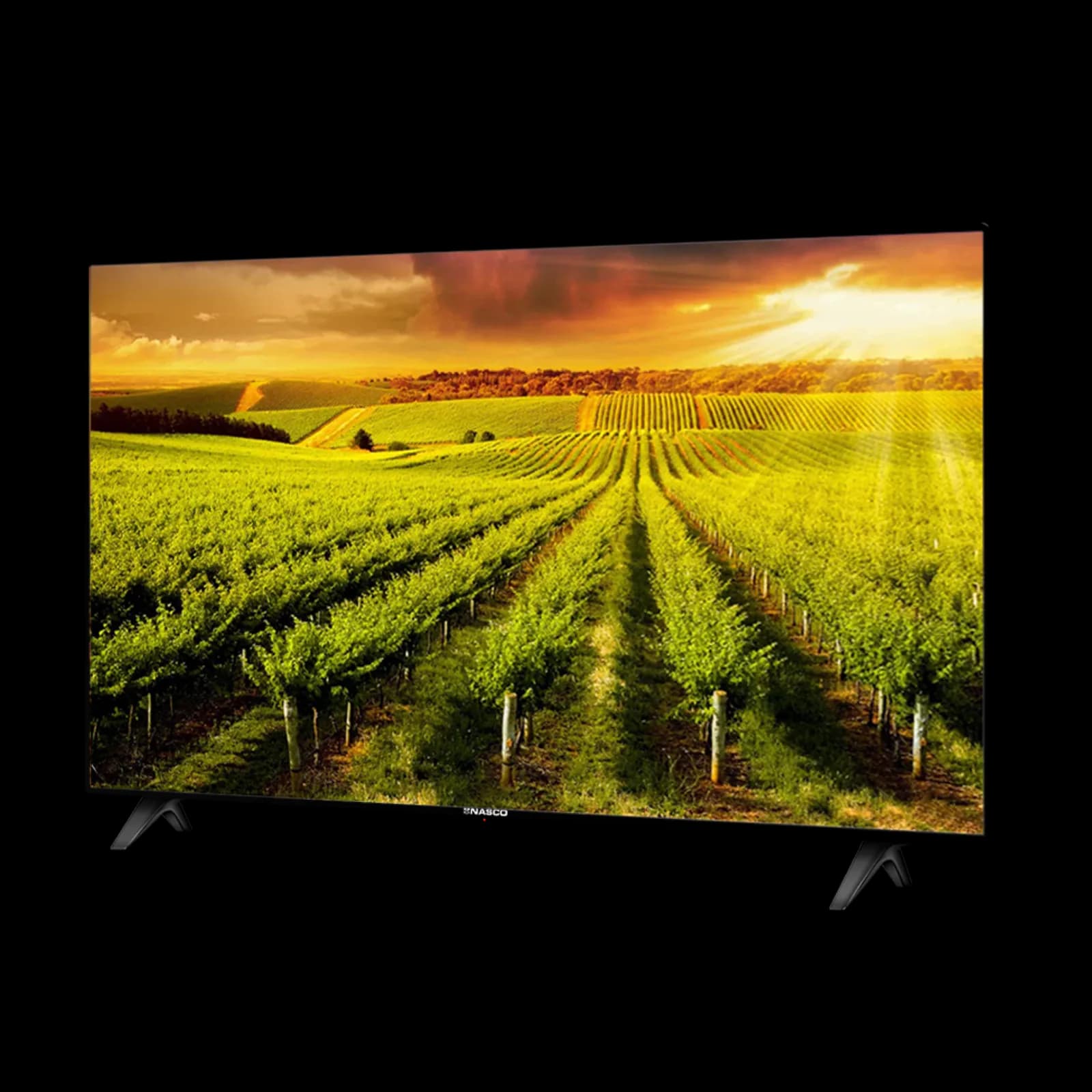 NASCO NAS-B43FBFL 43" LED FLAT TV