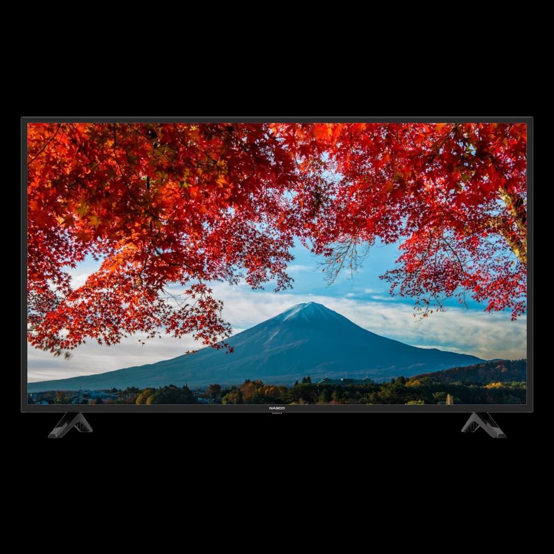 NASCO NAS-J40FBFL 40" LED FLAT TV