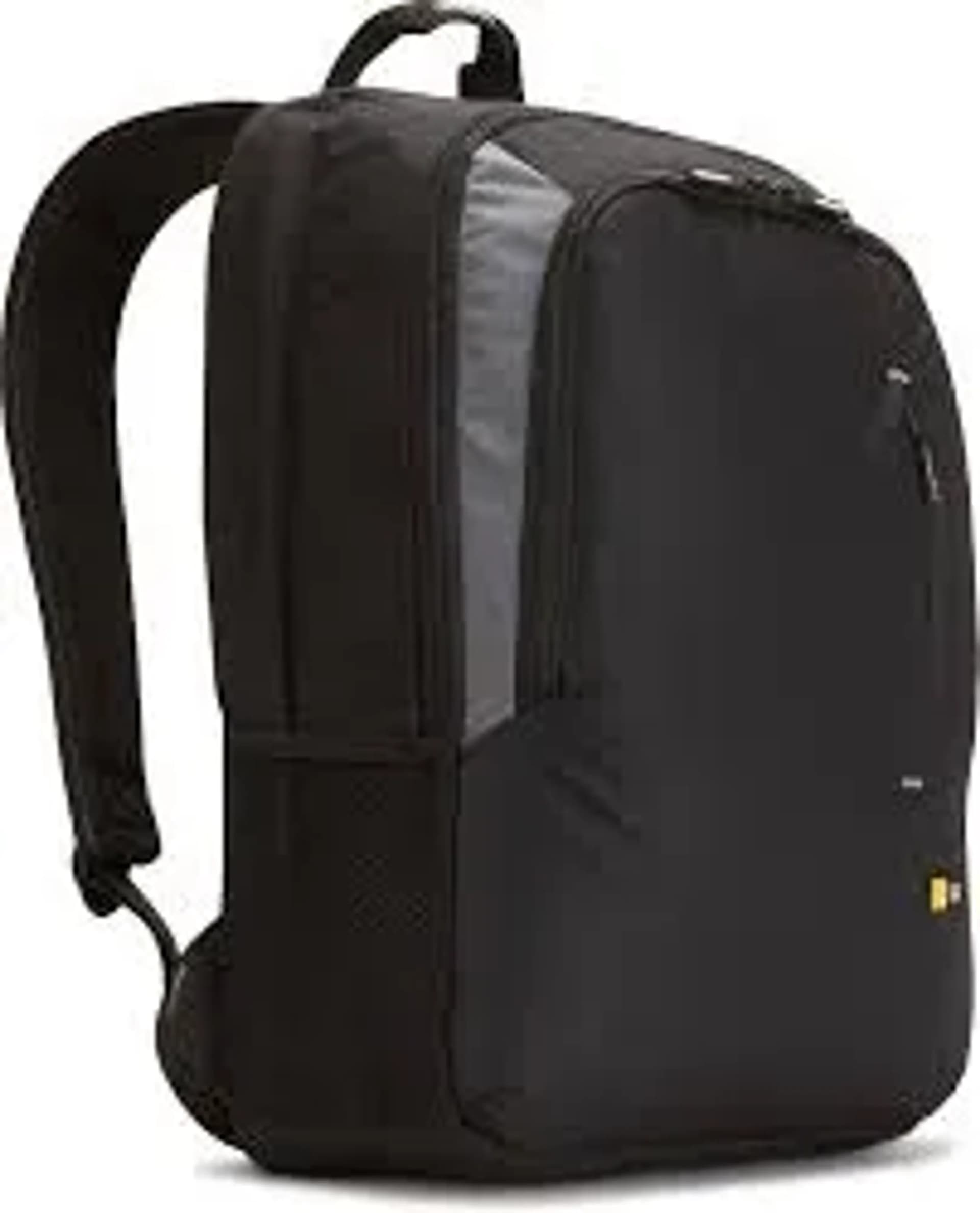 Case Logic 10.1