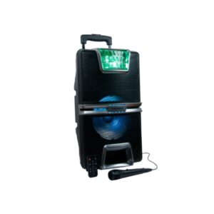 NASCO NASD-250W 25W KARAOKE SYSTEM