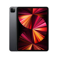 APPLE IPAD PRO 11-INCH 256GB + CELLULAR